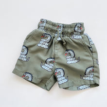 Load image into Gallery viewer, Band of Boys Swim Shorts (1-2y)
