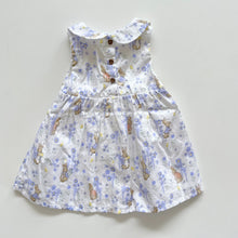 Load image into Gallery viewer, Beatrix Potter Peter Rabbit x Flopsy Bunny Dress (6-9m)
