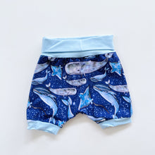 Load image into Gallery viewer, Larcy Rd Boutique Swim Shorts / Nappy Cover (3-12m)
