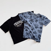 Load image into Gallery viewer, Dino T-Shirts Bundle 2x (5y)
