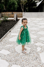 Load image into Gallery viewer, Confetti Kidz Green/Gold Star Tulle Dress (6-12m)

